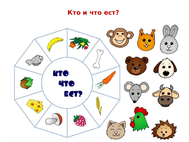 Кто и что ест?