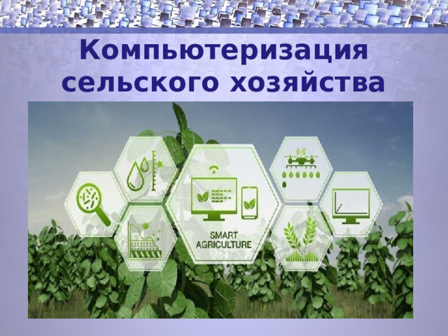 Компьютеризация сельского хозяйства 1