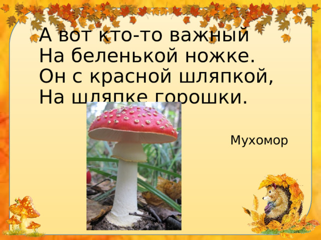 А вот кто-то важный   На беленькой ножке.   Он с красной шляпкой,   На шляпке горошки. Мухомор