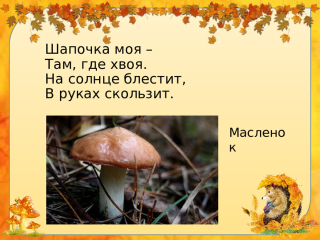 Шапочка моя –  Там, где хвоя.  На солнце блестит,  В руках скользит.    Масленок