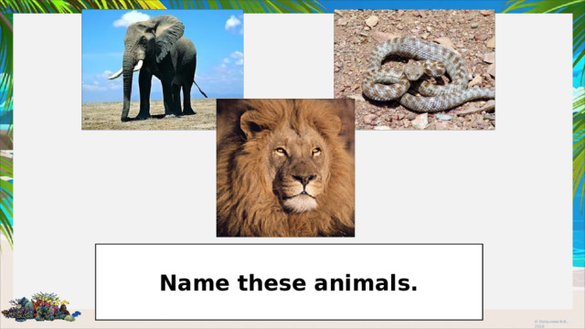 What do you see? Are they wild or domestic? Name these animals.