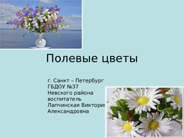 Полевые цветы г. Санкт – Петербург ГБДОУ №37 Невского района воспитатель Лапчинская Виктория Александровна