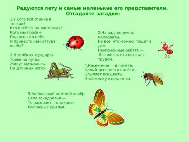 Радуются лету и самые маленькие его представители. Отгадайте загадки: 1.У кого вся спинка в точках? Кто пасётся на листочках? Кого мы просим Подняться в небо И принести нам оттуда хлеба?   2.На вид, конечно, мелковаты, Но всё, что можно, тащат в дом. Неугомонные ребята —  Вся жизнь их связана с трудом.   3.В зелёных мундирах Траве на лугах, Живут музыканты На длинных ногах.   4.Насекомое — в почёте, Целый день она в полёте, Опыляет все цветы, Чтоб медку отведал ты.   5.На большой цветной ковёр Села эскадрилья — То раскроет, то закроет Расписные крылья.