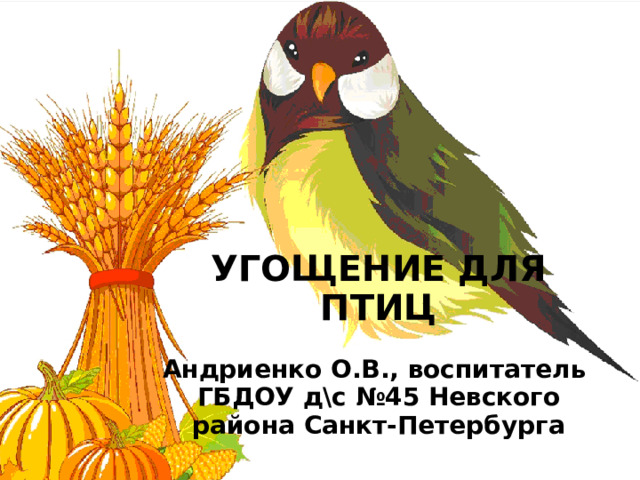 УГОЩЕНИЕ ДЛЯ ПТИЦ  Андриенко О.В., воспитатель ГБДОУ д\с №45 Невского района Санкт-Петербурга