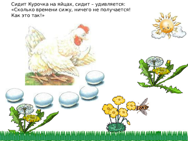 Сидит Курочка на яйцах, сидит – удивляется: «Сколько времени сижу, ничего не получается! Как это так!»