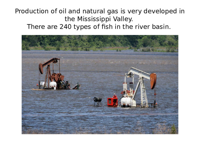 Production of oil and natural gas is very developed in the Mississippi Valley.  There are 240 types of fish in the river basin.