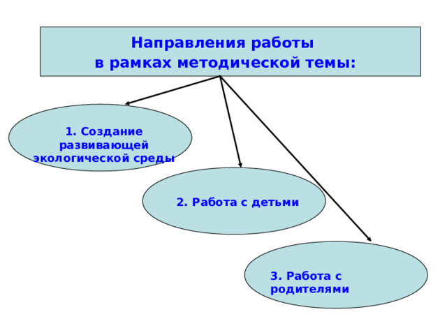 Направления работы в рамках методической темы: 1. Создание развивающей экологической среды 2. Работа с детьми 3. Работа с родителями