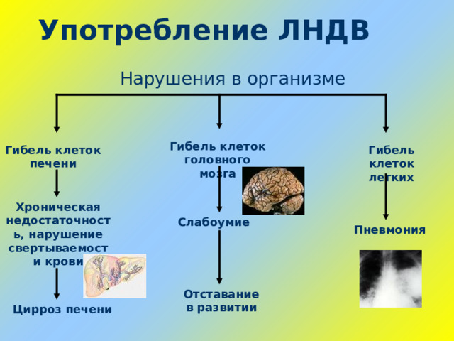 Употребление ЛНДВ Нарушения в организме Гибель клеток головного мозга Гибель клеток легких Гибель клеток печени Хроническая недостаточность, нарушение свертываемости крови Слабоумие Пневмония Отставание в развитии Цирроз печени