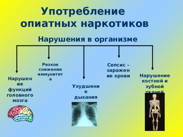 Употребление  опиатных наркотиков Нарушения в организме Резкое снижение иммунитета Сепсис – заражение крови Нарушение костной и зубной тканей Нарушение функций головного мозга Ухудшение дыхания