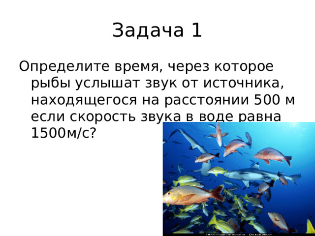 Задача 1 Определите время, через которое рыбы услышат звук от источника, находящегося на расстоянии 500 м если скорость звука в воде равна 1500м/с?