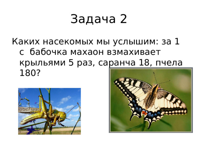 Задача 2 Каких насекомых мы услышим: за 1 с бабочка махаон взмахивает крыльями 5 раз, саранча 18, пчела 180?