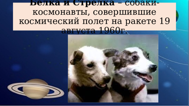 Белка и Стрелка – собаки-космонавты, совершившие космический полет на ракете 19 августа 1960г.