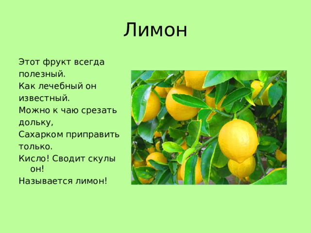 Лимон Этот фрукт всегда полезный. Как лечебный он известный. Можно к чаю срезать дольку, Сахарком приправить только. Кисло! Сводит скулы он! Называется лимон!