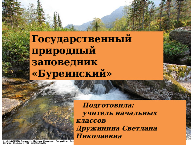 Государственный природный заповедник «Буреинский»  Подготовила:  учитель начальных классов Дружинина Светлана Николаевна