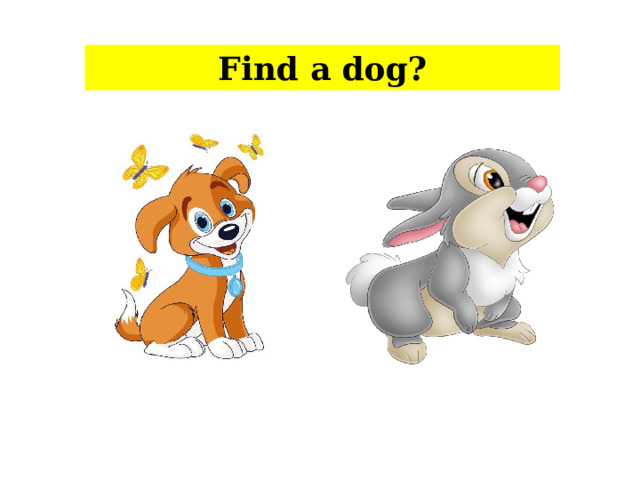 Find a dog?