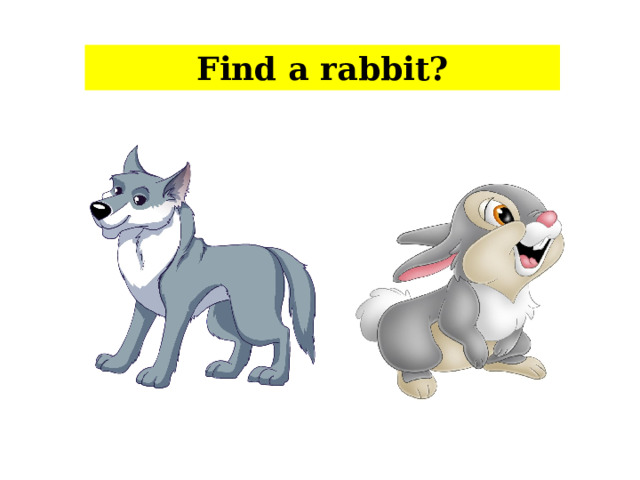 Find a rabbit?