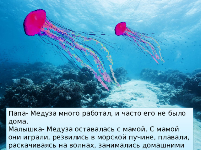 Папа- Медуза много работал, и часто его не было дома. Малышка- Медуза оставалась с мамой. С мамой они играли, резвились в морской пучине, плавали, раскачиваясь на волнах, занимались домашними делами.