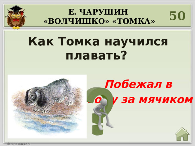 Е. Чарушин  «Волчишко» «ТОМКА» 50 Как Томка научился плавать?   Побежал в воду за мячиком