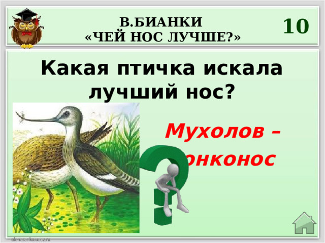 10 В.Бианки «чей нос лучше?» Какая птичка искала лучший нос? Мухолов – тонконос