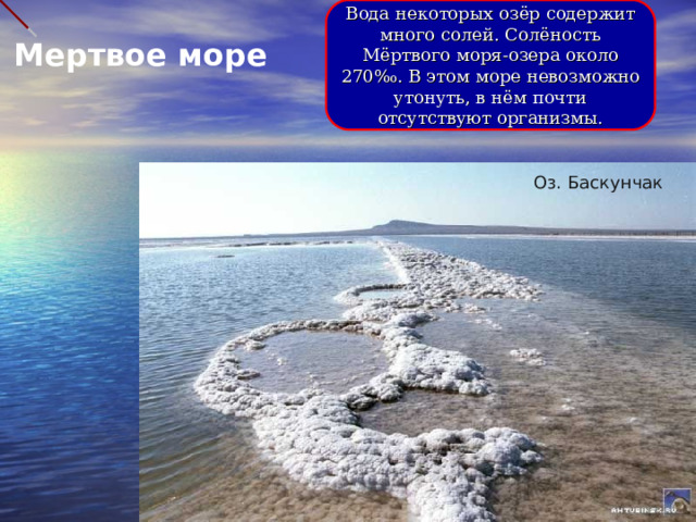 Вода некоторых озёр содержит много солей. Солёность Мёртвого моря-озера около 270 ‰. В этом море невозможно утонуть, в нём почти отсутствуют организмы. Мертвое море Оз. Баскунчак