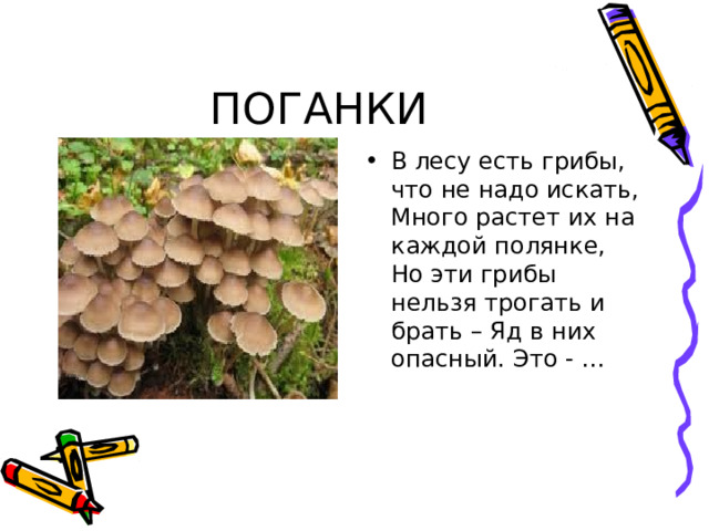 В лесу есть грибы, что не надо искать, Много растет их на каждой полянке, Но эти грибы нельзя трогать и брать – Яд в них опасный. Это - …