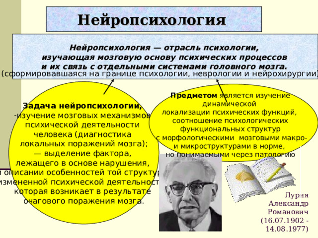 Нейропсихология  Нейропсихология — отрасль психологии, изучающая мозговую основу психических процессов и их связь с отдельными системами головного мозга.  (сформировавшаяся на границе психологии, неврологии и нейрохирургии) Задача нейропсихологии, изучение мозговых механизмов психической деятельности человека (диагностика локальных поражений мозга); — выделение фактора, лежащего в основе нарушения, и описании особенностей той структуры измененной психической деятельности, которая возникает в результате очагового поражения мозга. . Предметом является изучение динамической локализации психических функций, соотношение психологических функциональных структур  с морфологическими мозговыми макро- и микроструктурами в норме, но понимаемыми через патологию Лурия  Александр Романович  (16.07.1902 - 14.08.1977)