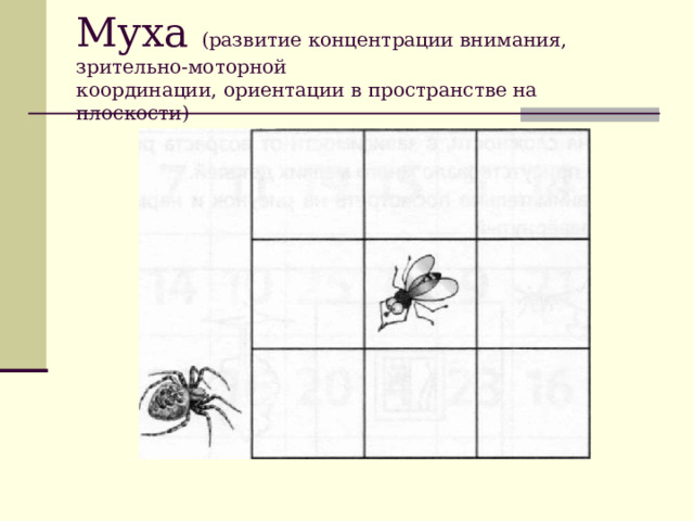 Муха (развитие концентрации внимания, зрительно-моторной  координации, ориентации в пространстве на плоскости)