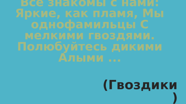Все знакомы с нами: Яркие, как пламя, Мы однофамильцы С мелкими гвоздями. Полюбуйтесь дикими Алыми ... (Гвоздики)