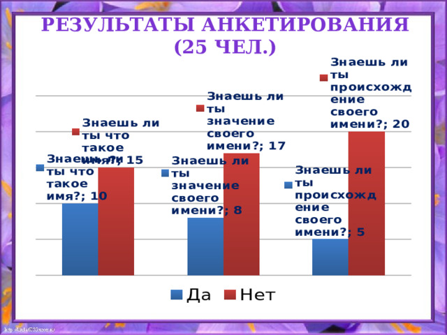 Результаты анкетирования (25 чел.)