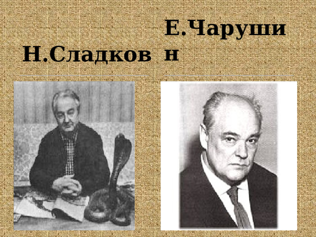 Е.Чарушин Н.Сладков