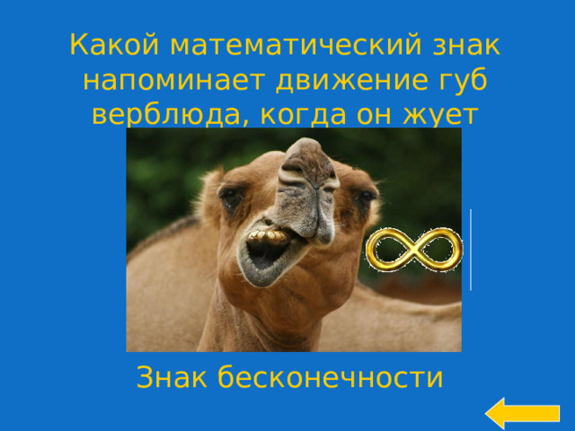 Какой математический знак напоминает движение губ верблюда, когда он жует жвачку? Знак бесконечности