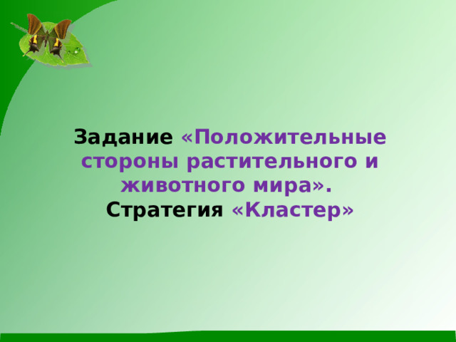 Задание «Положительные стороны растительного и животного мира».  Стратегия «Кластер»   