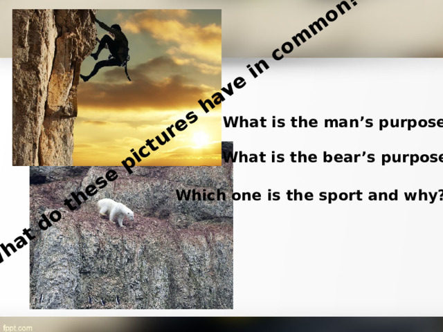 What do these pictures have in common? What is the man’s purpose? What is the bear’s purpose? Which one is the sport and why?