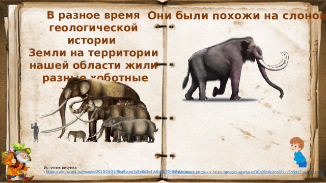 Они были похожи на слонов? В разное время геологической истории Земли на территории нашей области жили разные хоботные животные. Источник рисунка : https :// cdn.nplus1.ru/images/2019/05/21/9ba9ccee7d3e8b3e4dd6a2b7049dfc1b.jpg Источник рисунка: https ://images-wixmp-ed30a86b8c4ca887773594c2.wixmp.com /