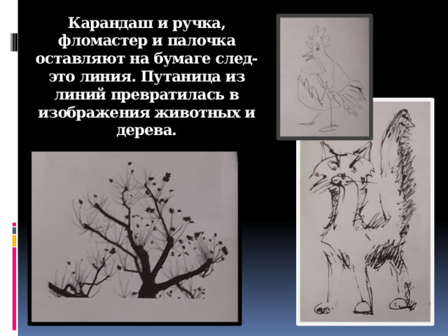 Карандаш и ручка, фломастер и палочка оставляют на бумаге след- это линия. Путаница из линий превратилась в изображения животных и дерева.