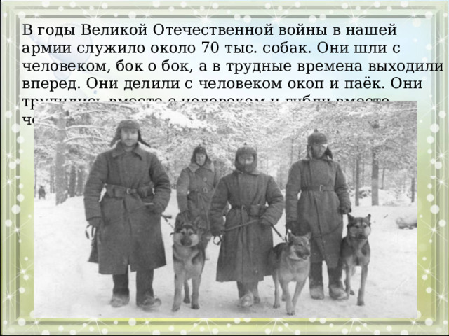 В годы Великой Отечественной войны в нашей армии служило около 70 тыс. собак. Они шли с человеком, бок о бок, а в трудные времена выходили вперед. Они делили с человеком окоп и паёк. Они трудились вместе с человеком и гибли вместо человека.