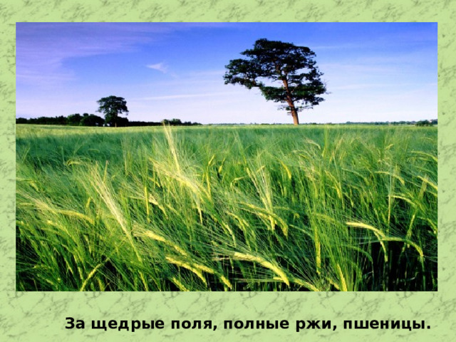 За щедрые поля, полные ржи, пшеницы.