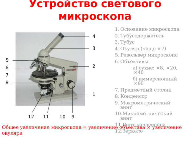 Устройство светового микроскопа Основание микроскопа Тубусодержатель Тубус Окуляр (чаще ×7) Револьвер микроскопа Объективы а) сухие: ×8, ×20, ×40 б) иммерсионный ×90 Предметный столик Конденсор Макрометрический винт Микрометрический винт Винт конденсора Зеркало 4 3 5 2 6 7 8 1 11 9 10 12 Общее увеличение микроскопа = увеличение объектива × увеличение окуляра