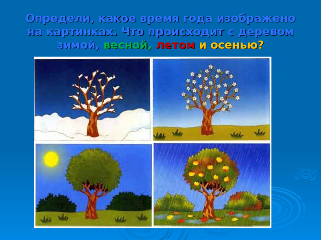 Определи, какое время года изображено на картинках. Что происходит с деревом зимой, весной,  летом  и осенью?