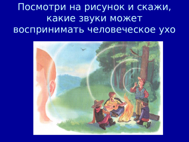 Посмотри на рисунок и скажи, какие звуки может воспринимать человеческое ухо