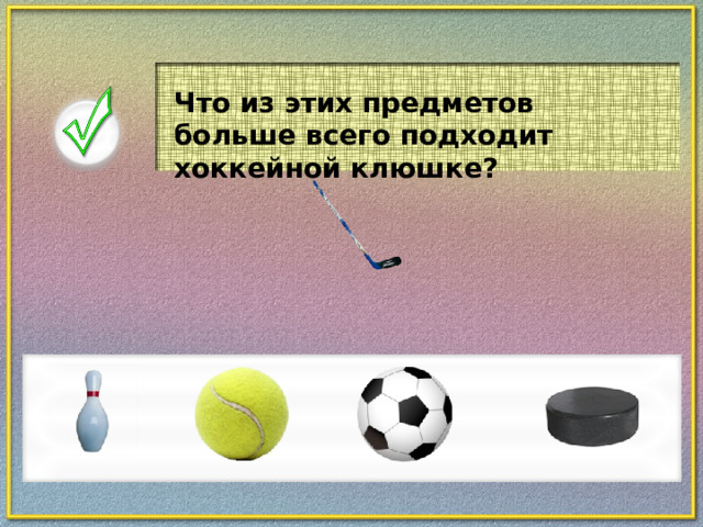 Что из этих предметов больше всего подходит хоккейной клюшке?