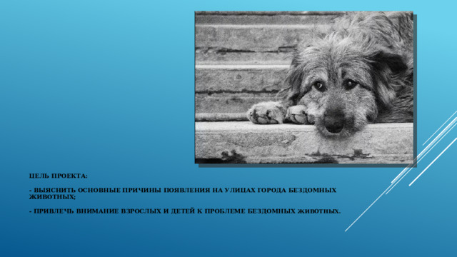 Цель проекта:   - выяснить основные причины появления на улицах города бездомных животных;   - привлечь внимание взрослых и детей к проблеме бездомных животных.