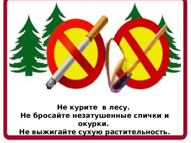 Не курите в лесу. Не бросайте незатушенные спички и окурки. Не выжигайте сухую растительность.