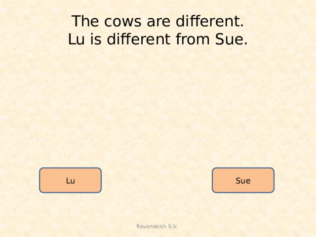 The cows are different.  Lu is different from Sue. Lu Sue Rovenskikh S.V.