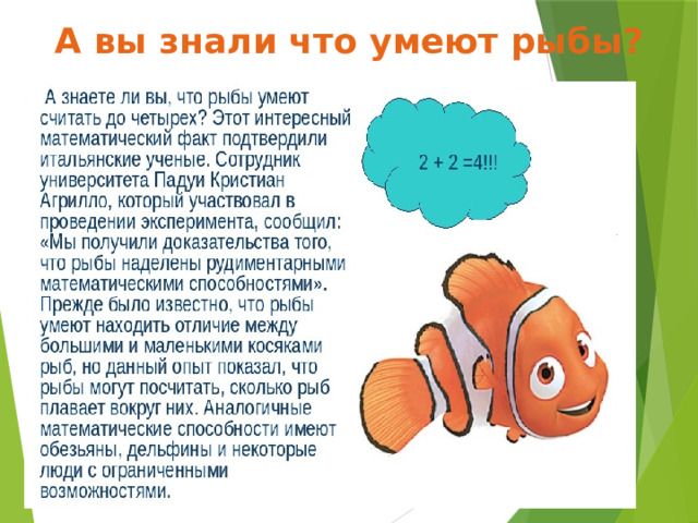 А вы знали что умеют рыбы?