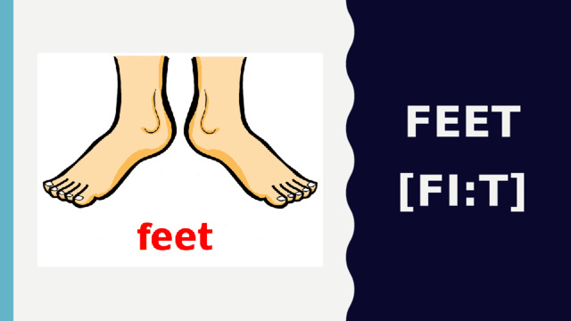 feet [fi:t]