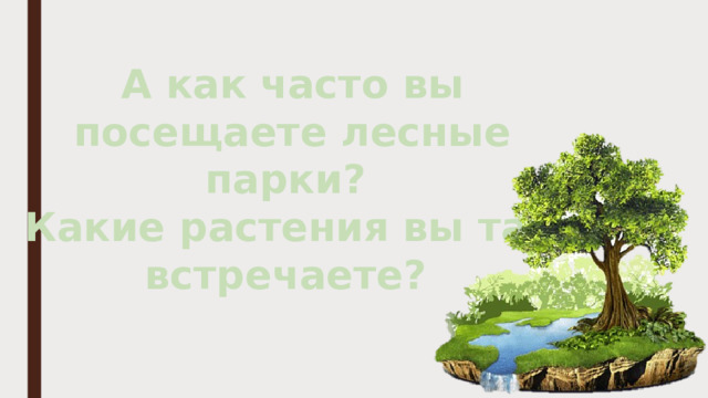 А как часто вы посещаете лесные парки?  Какие растения вы там встречаете?