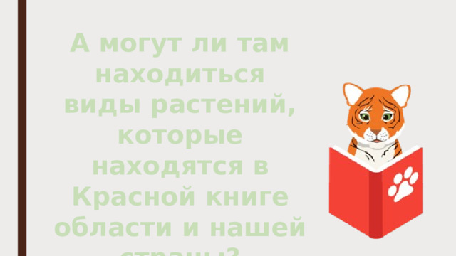 А могут ли там находиться виды растений, которые находятся в Красной книге области и нашей страны?