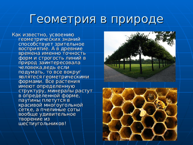 Как известно, усвоению геометрических знаний способствует зрительное восприятие. А в древние времена именно точность форм и строгость линий в природ заинтересовала человека,ведь если подумать, то все вокруг являтеся геометрическими формами. Все растения имеют определенную структуру, минералы растут в определенной форме, паутины плетутся в красивой многоугольной сетке, а пчелиные соты вообще удивительное творение из шестиугольников!