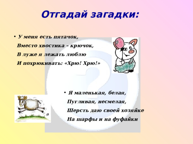 Отгадай загадки:  У меня есть пятачок,  Вместо хвостика – крючок,  В луже я лежать люблю  И похрюкивать: «Хрю! Хрю!»  Я маленькая, белая,  Пугливая, несмелая,  Шерсть даю своей хозяйке  На шарфы и на фуфайки